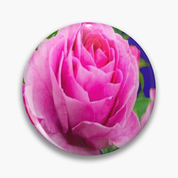 Item preview, LUCIOUS PINK SPRING GARDEN ROSE ART  designed and sold by sharlesart.