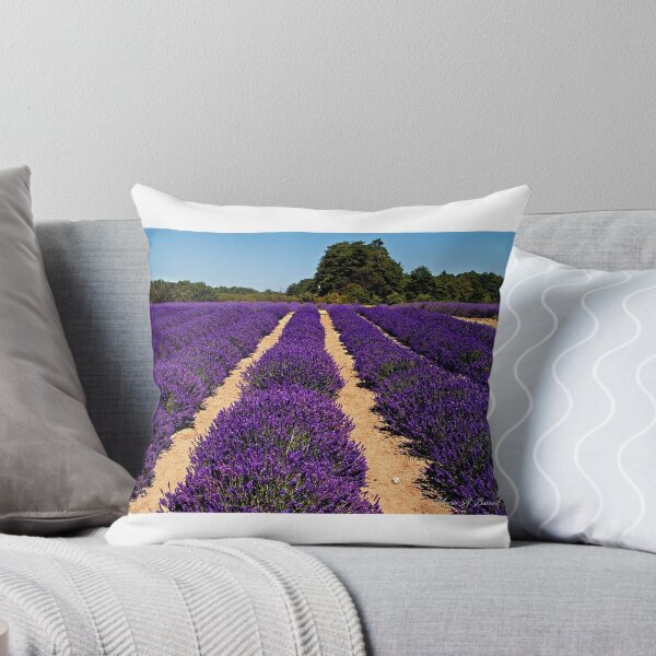 Item preview, Lavender Rows designed and sold by Maria A. Barnowl.