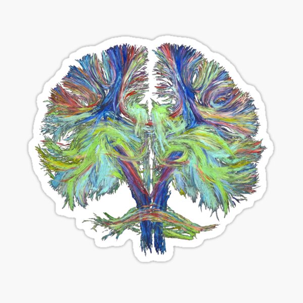 Tractography on black Sticker
