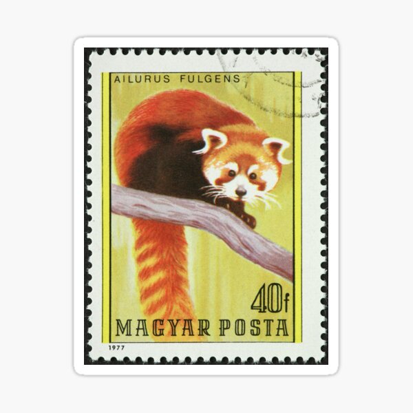 "Red Panda Stamp, Cute Red Panda, Vintage Panda " Sticker by FatCatMouse Redbubble