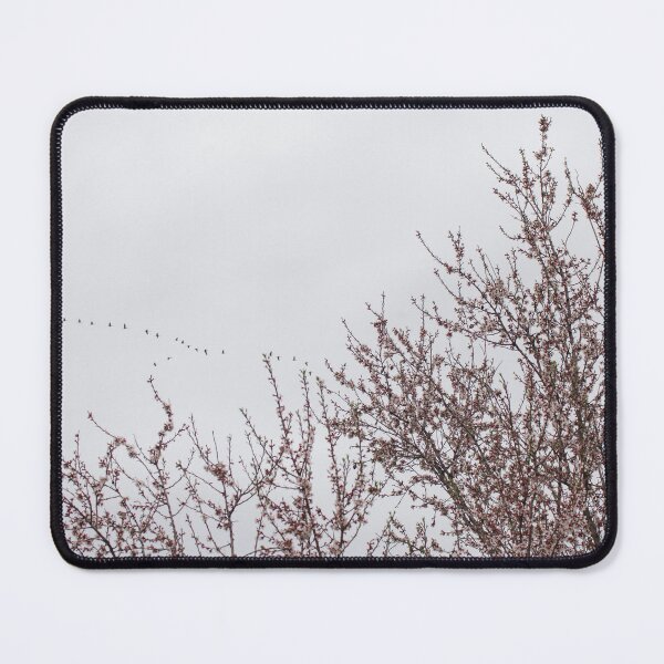Item preview, Almond (1) designed and sold by joneagoitz.