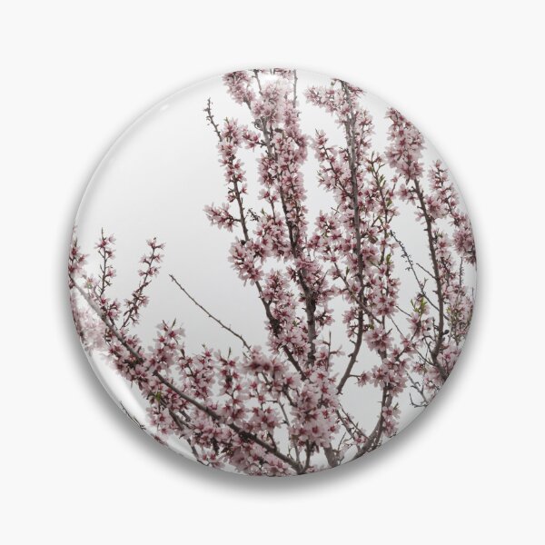 Item preview, Almond (3) designed and sold by joneagoitz.