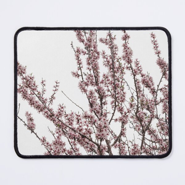 Item preview, Almond (3) designed and sold by joneagoitz.