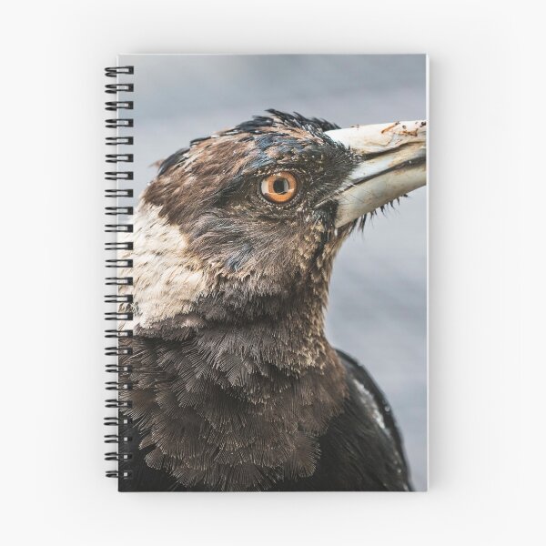 Item preview, Retrato de urraca australiana designed and sold by Wildpix.