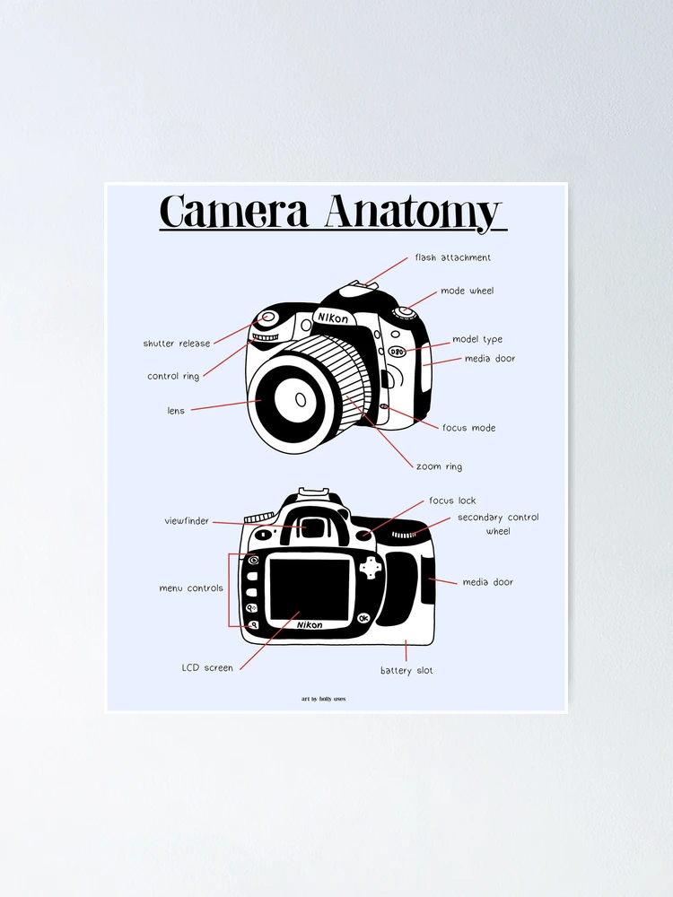 Diagram Easy Digital Camera Camera Anatomy Poster