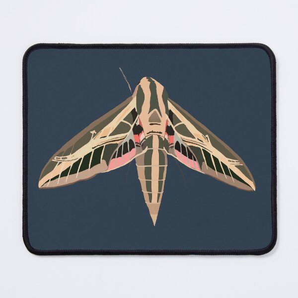 Item preview, banded sphinx moth designed and sold by JanineEK.