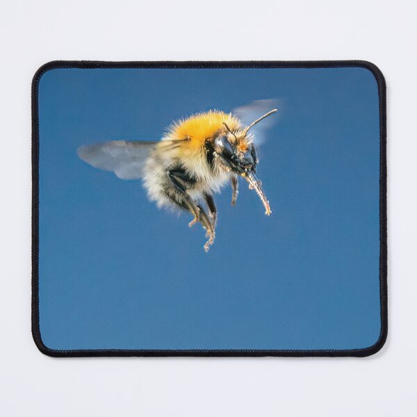 Item preview, A beautiful Bee in flight! designed and sold by PhotographMassa.