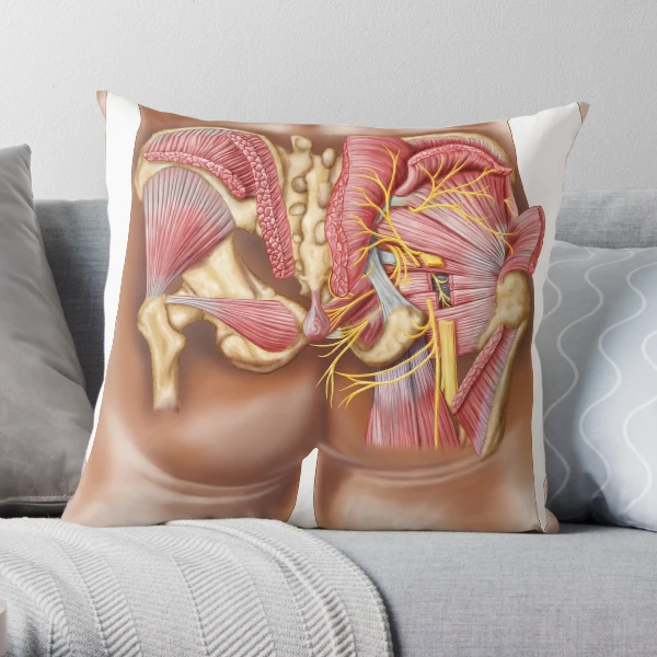 Piriformis pillow  Piriformis, Red roses, Pillows