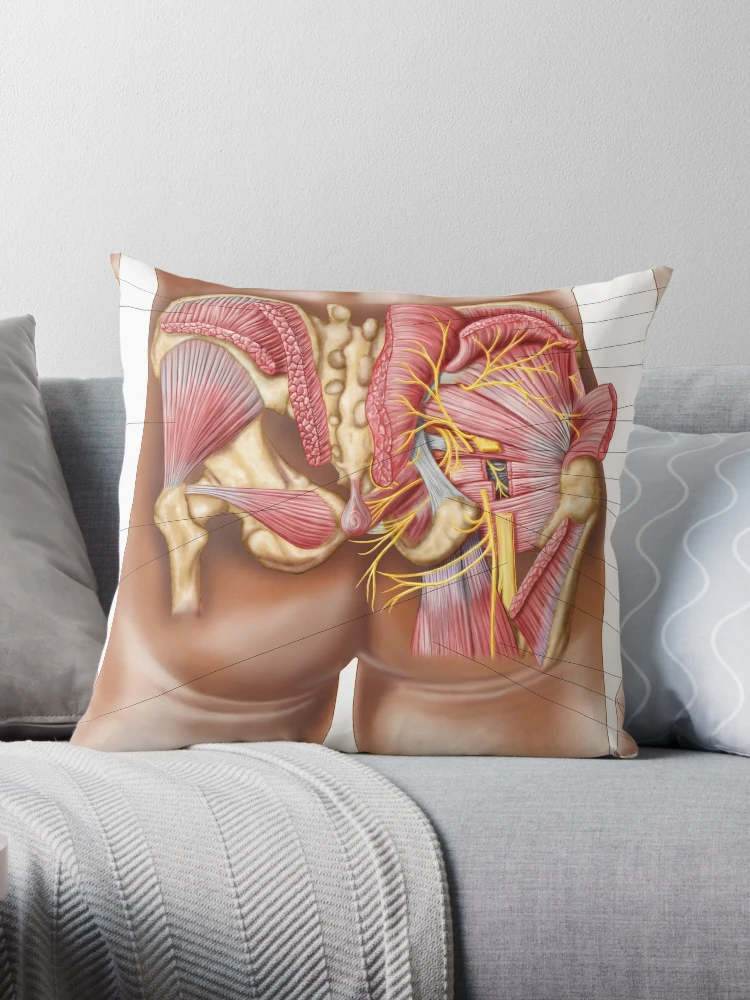 Anatomy of human pelvic bone. Throw Pillow for Sale by