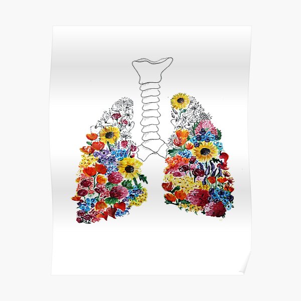 Lungs Posters  Redbubble