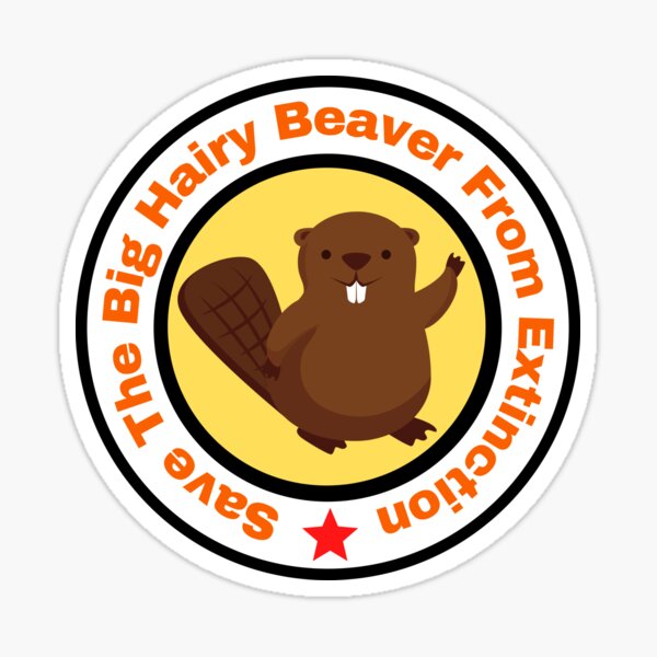 Save The Big Hairy Beaver Sticker For Sale By Pstawicki Redbubble