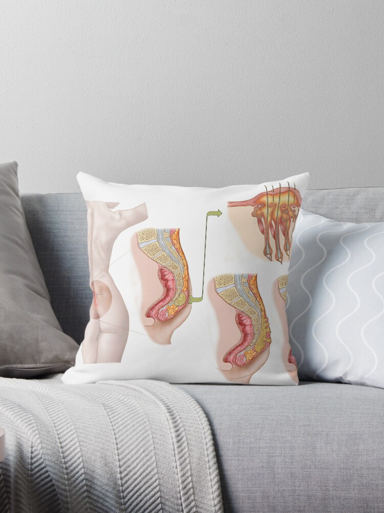 https://ih1.redbubble.net/image.338971197.2900/throwpillow,small,750x1000-bg,f8f8f8.jpg