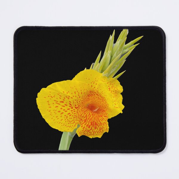 Item preview, Yellow Flower! designed and sold by KazM.