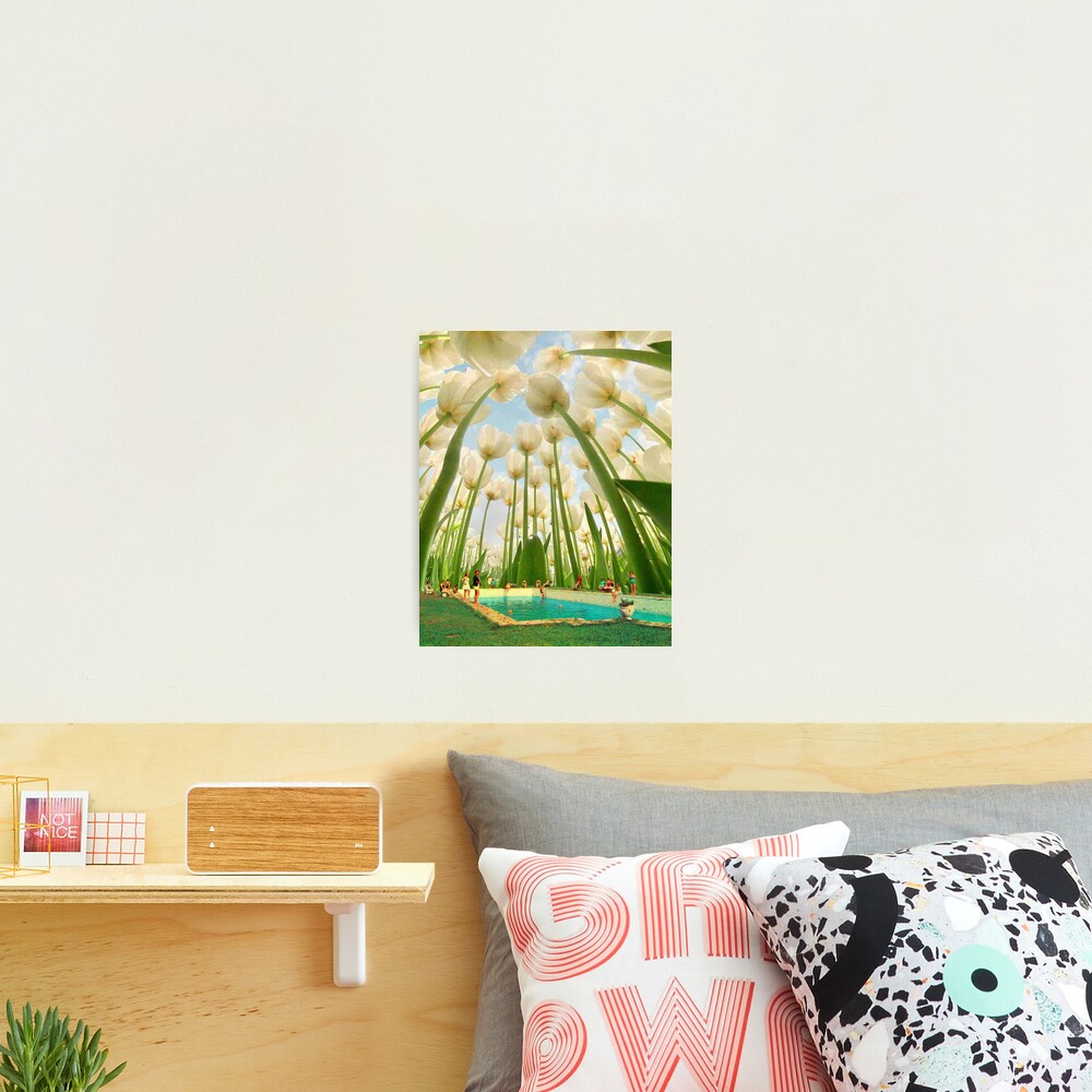 Under the Tulips Photographic Print
