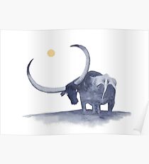 Water Buffalo Poster