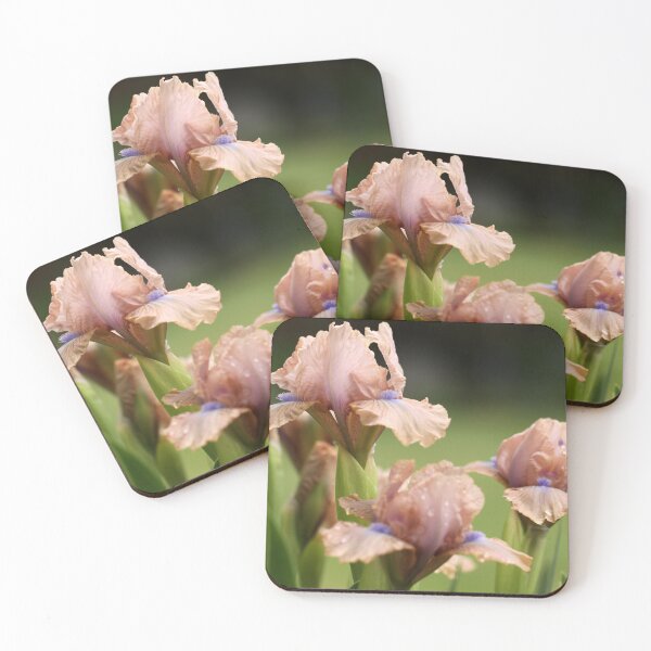 Item preview, Iris Bed designed and sold by coffeebean.