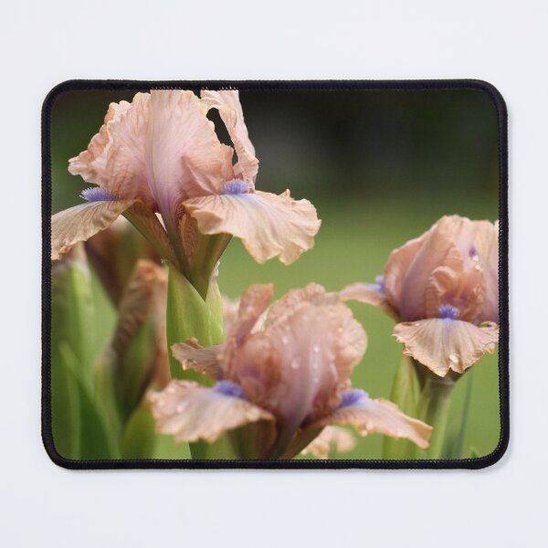 Item preview, Iris Bed designed and sold by coffeebean.