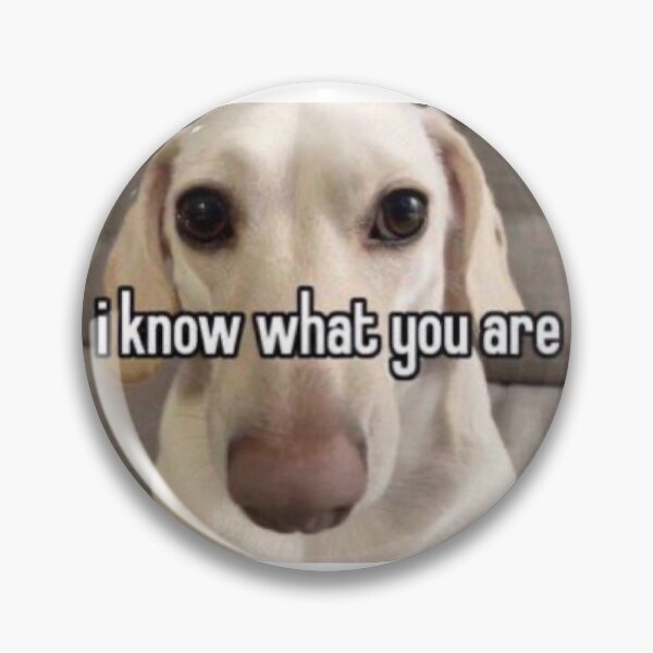 homophobic dog: i know what you are Pin