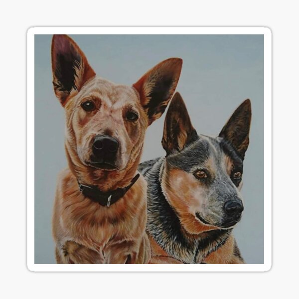 Aperçu de l'œuvre Meilleurs potes. Chiens de bouvier australiens rouges et bleus créée et vendue par Benjamin Heffernan.
