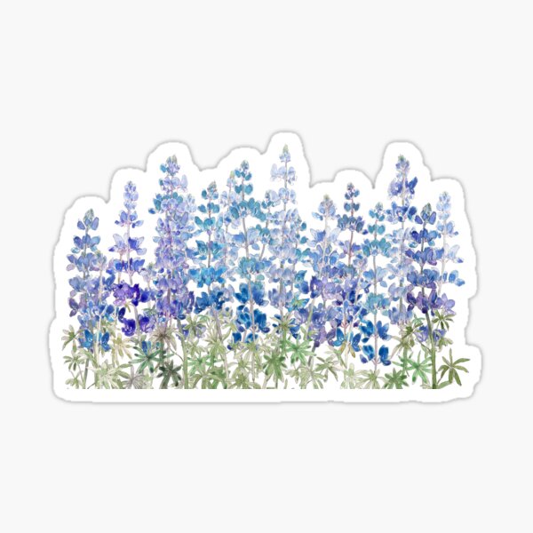 Aperçu de l'œuvre champ de fleurs de lupin violet bleu peint à la main horizontal  créée et vendue par ColorandColor.