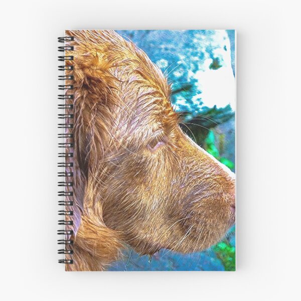 Artikelvorschau, Nasser Hund! entworfen und verkauft von JBrastedArt.