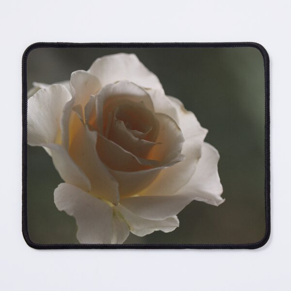 Item preview, Turkish Delight designed and sold by coffeebean.