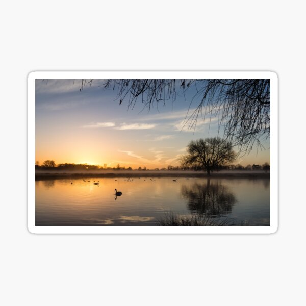 Sunrise at Bushy Park Sticker