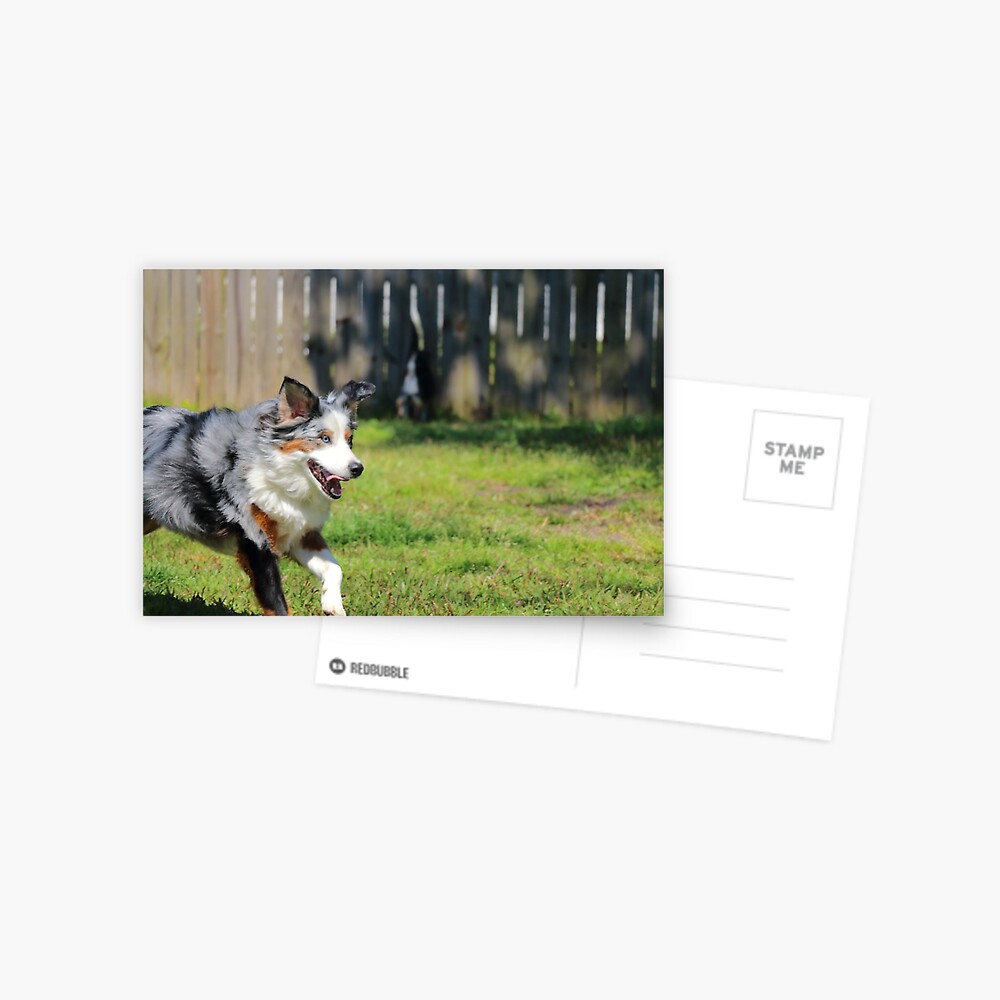 Item preview, Postcard designed and sold by OmensRest.