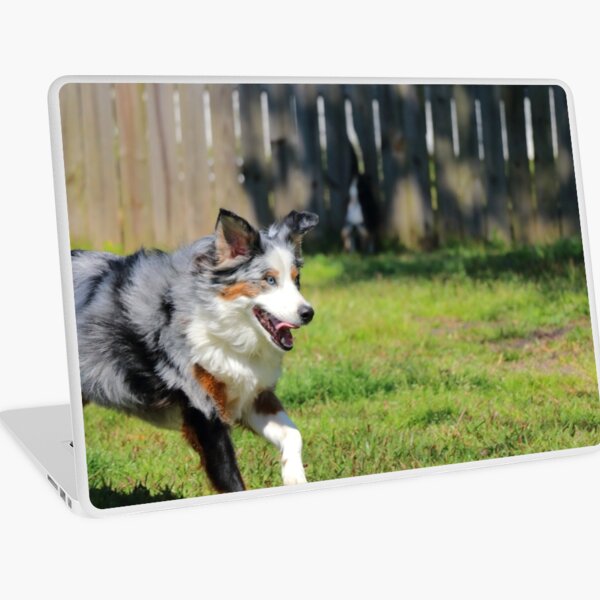  Laptop Skin