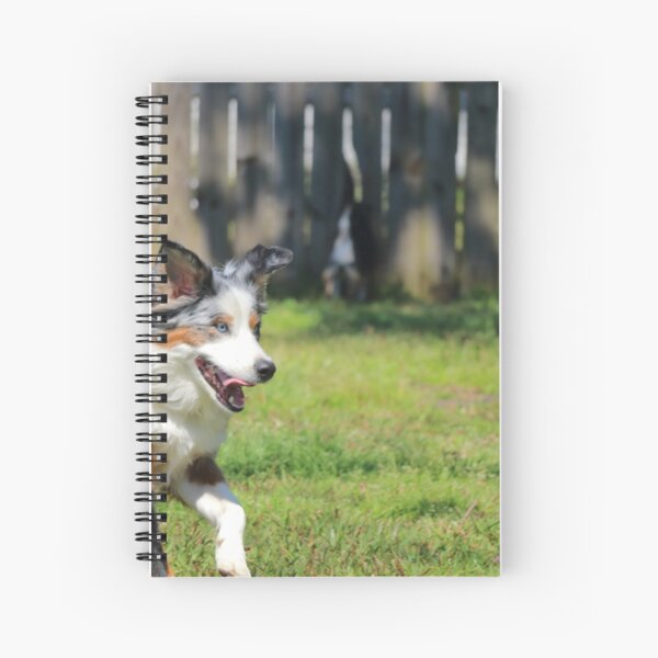 Untitled Spiral Notebook