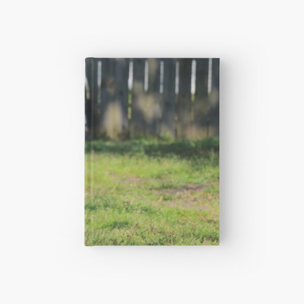 Untitled Hardcover Journal
