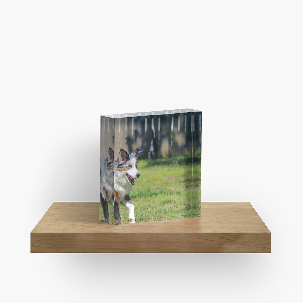 Item preview, Acrylic Block designed and sold by OmensRest.