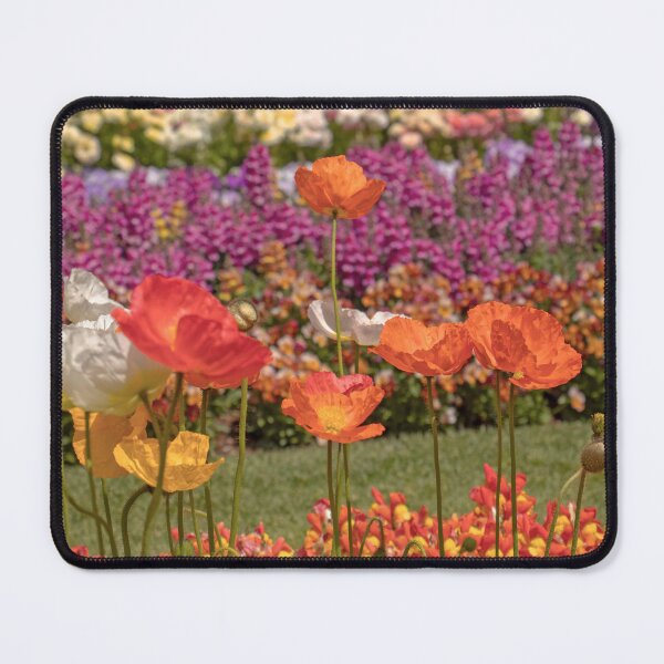 Item preview, Wall of Colour designed and sold by imageark.