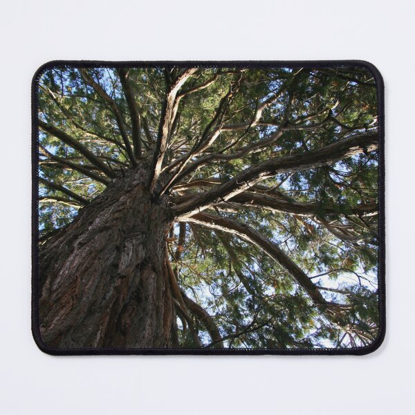 Item preview, The Wellingtonia designed and sold by coffeebean.
