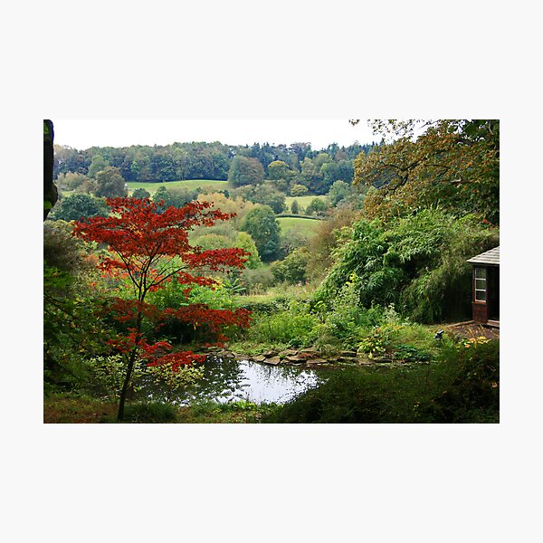 Item preview, Arley Arbortetum designed and sold by Justine Humphries.