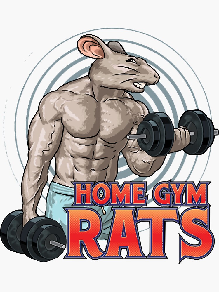 Gym Rat Bodybuilding Fitness Gym' Sticker