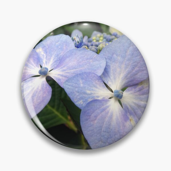 Item preview, hydrangea flower designed and sold by KathleenDawson.