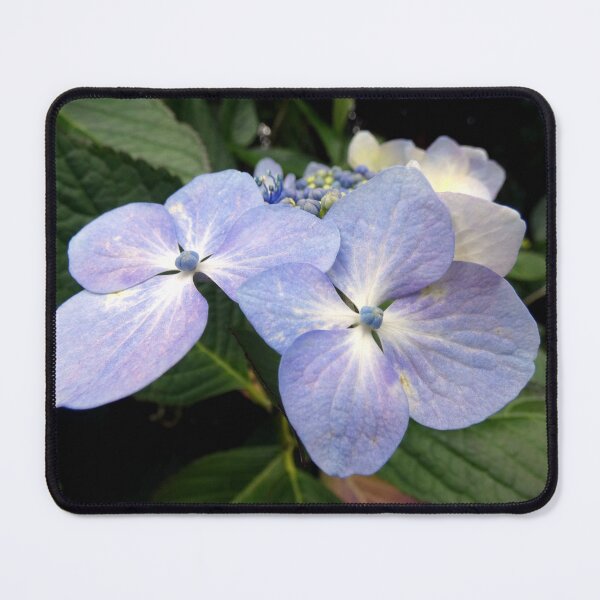 Item preview, hydrangea flower designed and sold by KathleenDawson.