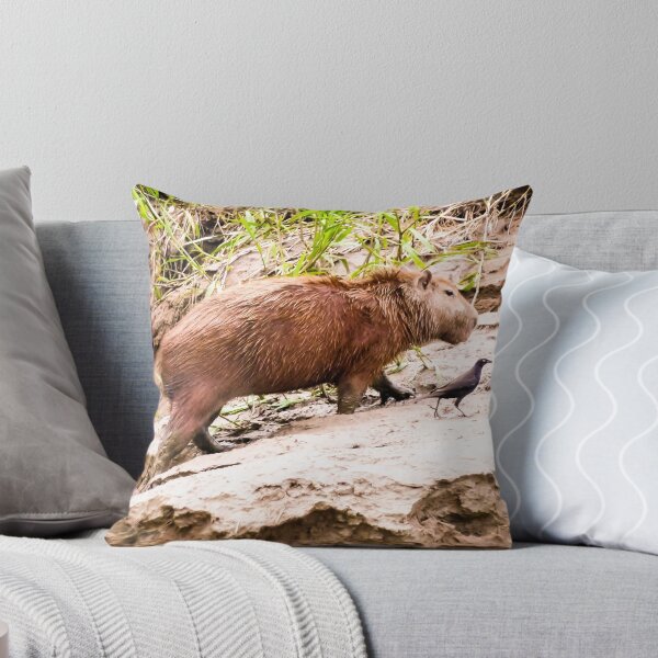 Item preview, Capybara with its friend designed and sold by JBrastedArt.