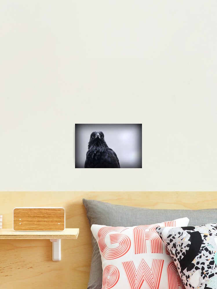 Thumbnail 2 of 3, Photographic Print, Crow protector designed and sold by Rivergirl.