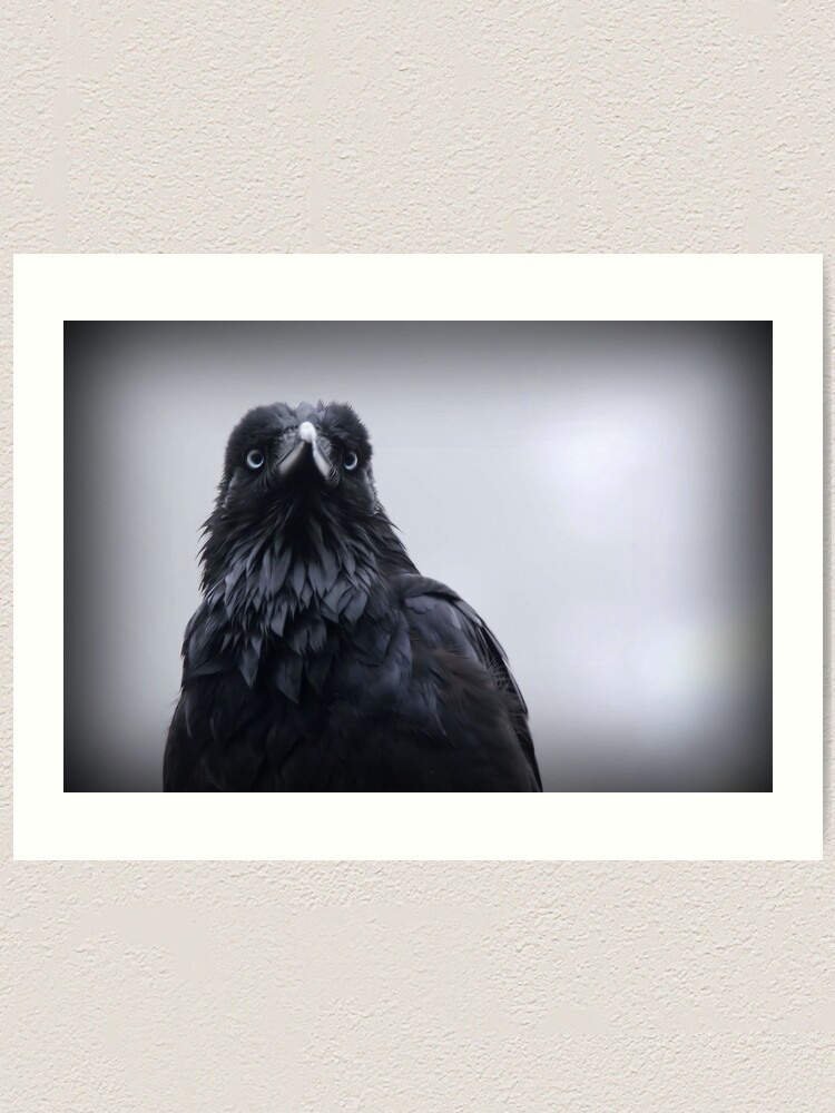 Thumbnail 1 of 3, Art Print, Crow protector designed and sold by Rivergirl.