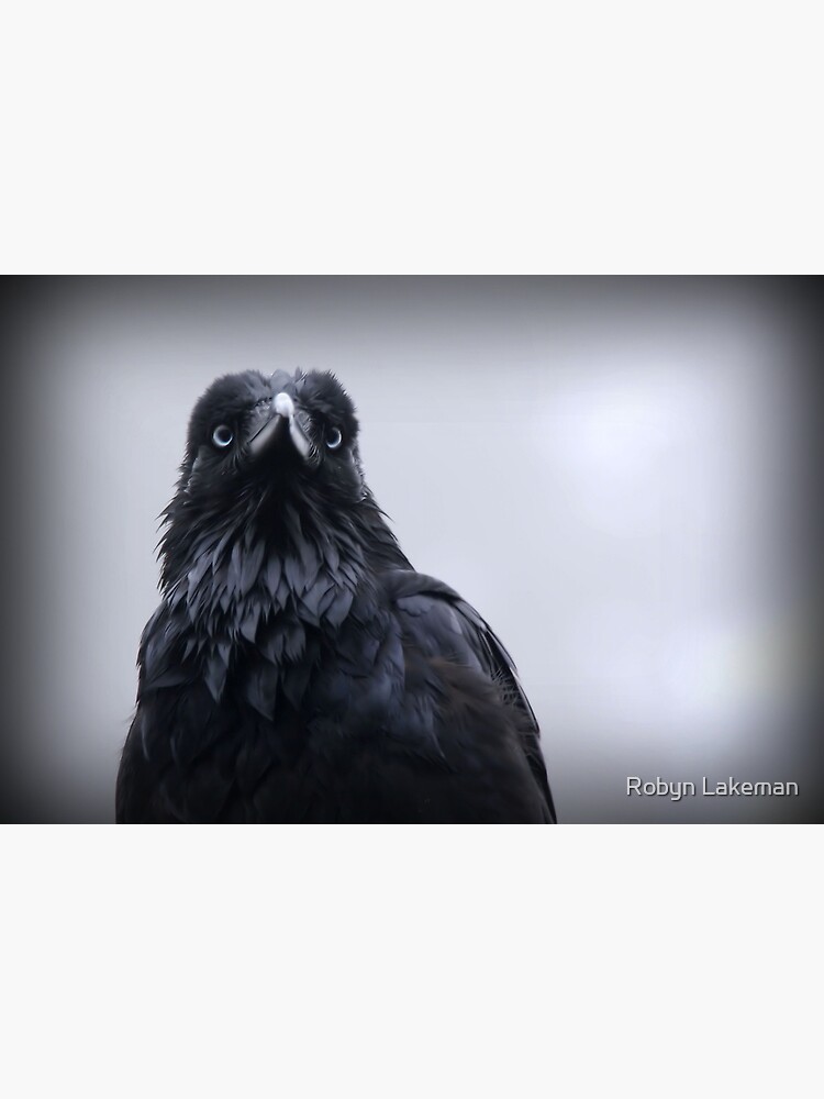 Crow protector by Rivergirl