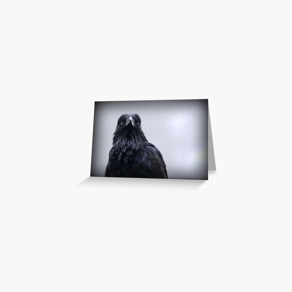 Crow protector Greeting Card