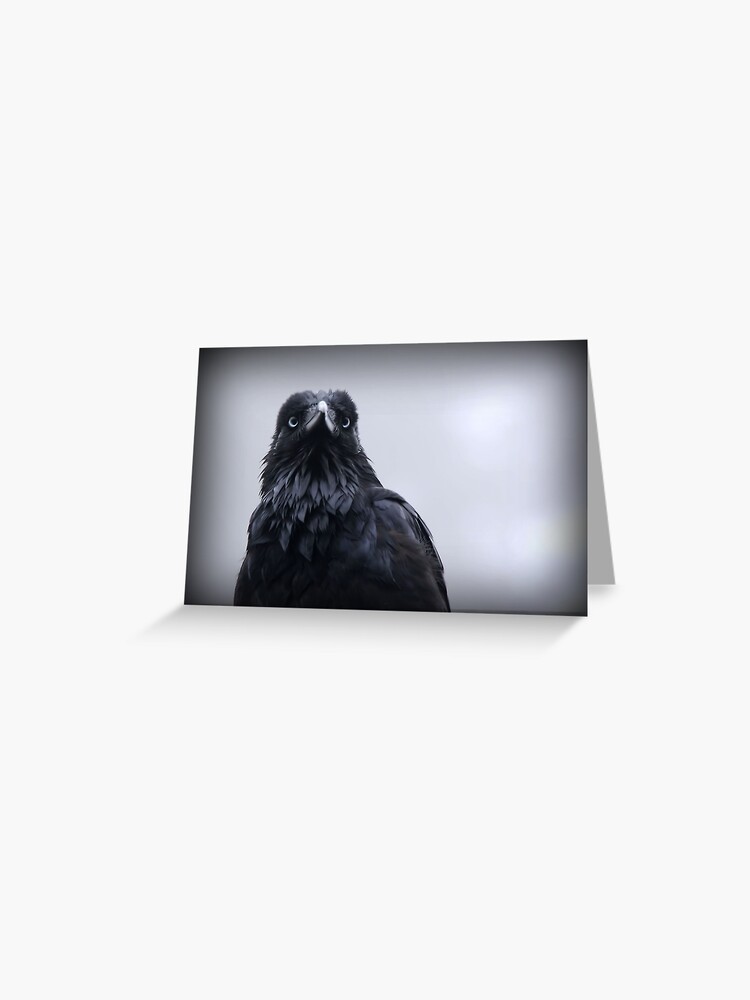 Thumbnail 1 of 2, Greeting Card, Crow protector designed and sold by Rivergirl.