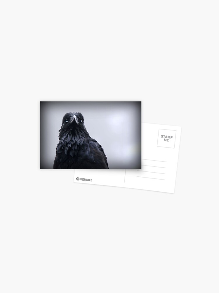 Thumbnail 1 of 2, Postcard, Crow protector designed and sold by Rivergirl.