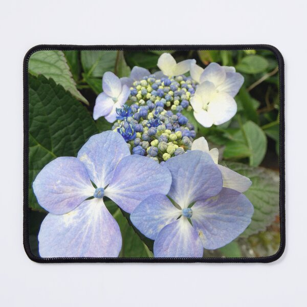 Item preview, hydrangea flower designed and sold by KathleenDawson.