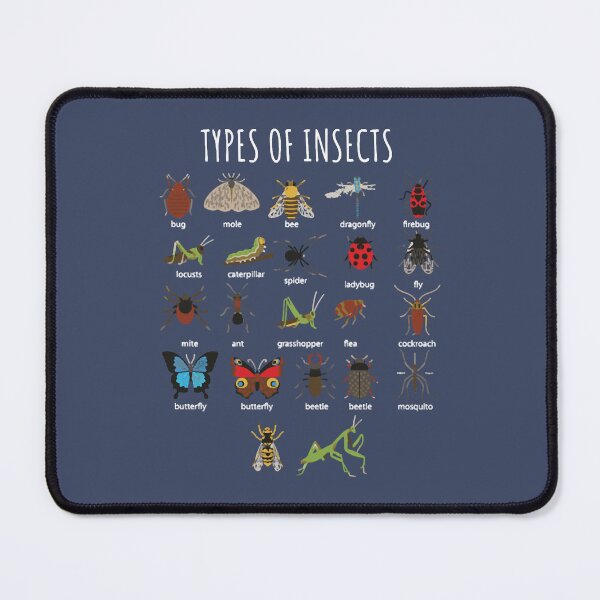 Item preview, Kids Types Of Insects T Shirt Bug Identification S designed and sold by ChenChens.