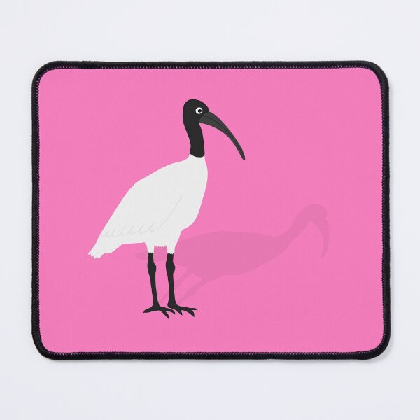 Item preview, Bin Chicken with its Shadow on Pink designed and sold by Digitaldingo.