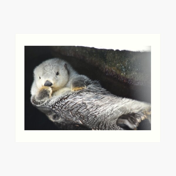 Kisses from an otter Art Print