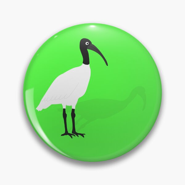 Item preview, Bin Chicken with its Shadow on Green designed and sold by Digitaldingo.